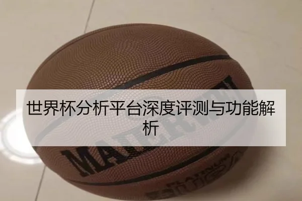 世界杯分析平台深度评测与功能解析
