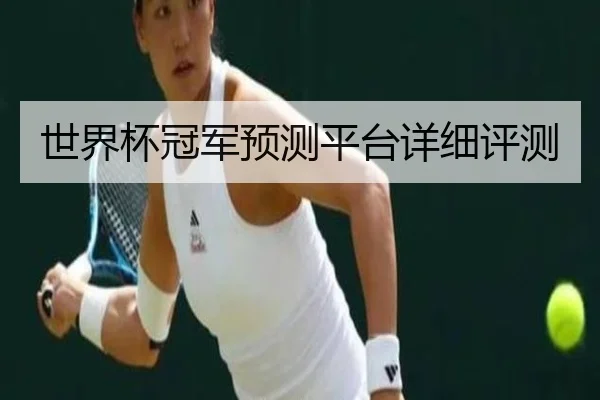 世界杯冠军预测平台详细评测