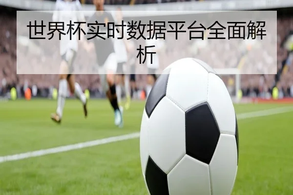 世界杯实时数据平台全面解析