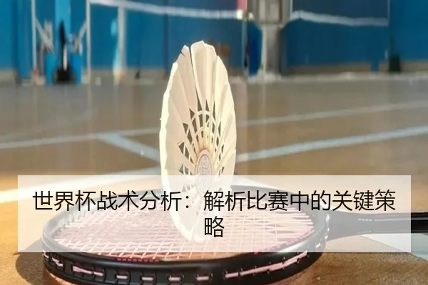 世界杯战术分析：解析比赛中的关键策略