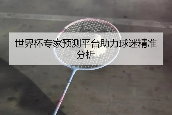世界杯专家预测平台助力球迷精准分析