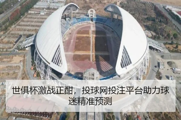 世俱杯激战正酣，投球网投注平台助力球迷精准预测