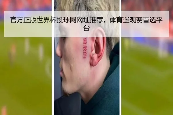 官方正版世界杯投球网网址推荐，体育迷观赛首选平台