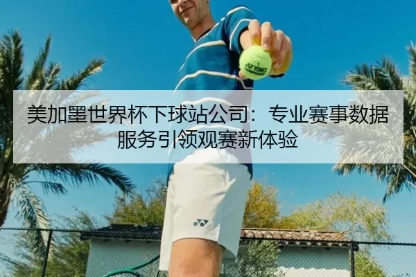 美加墨世界杯下球站公司：专业赛事数据服务引领观赛新体验