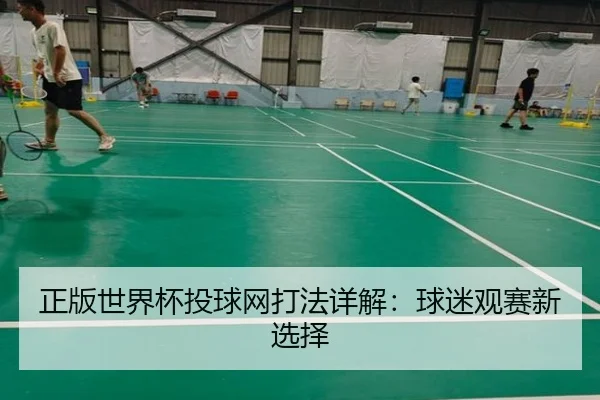 正版世界杯投球网打法详解：球迷观赛新选择